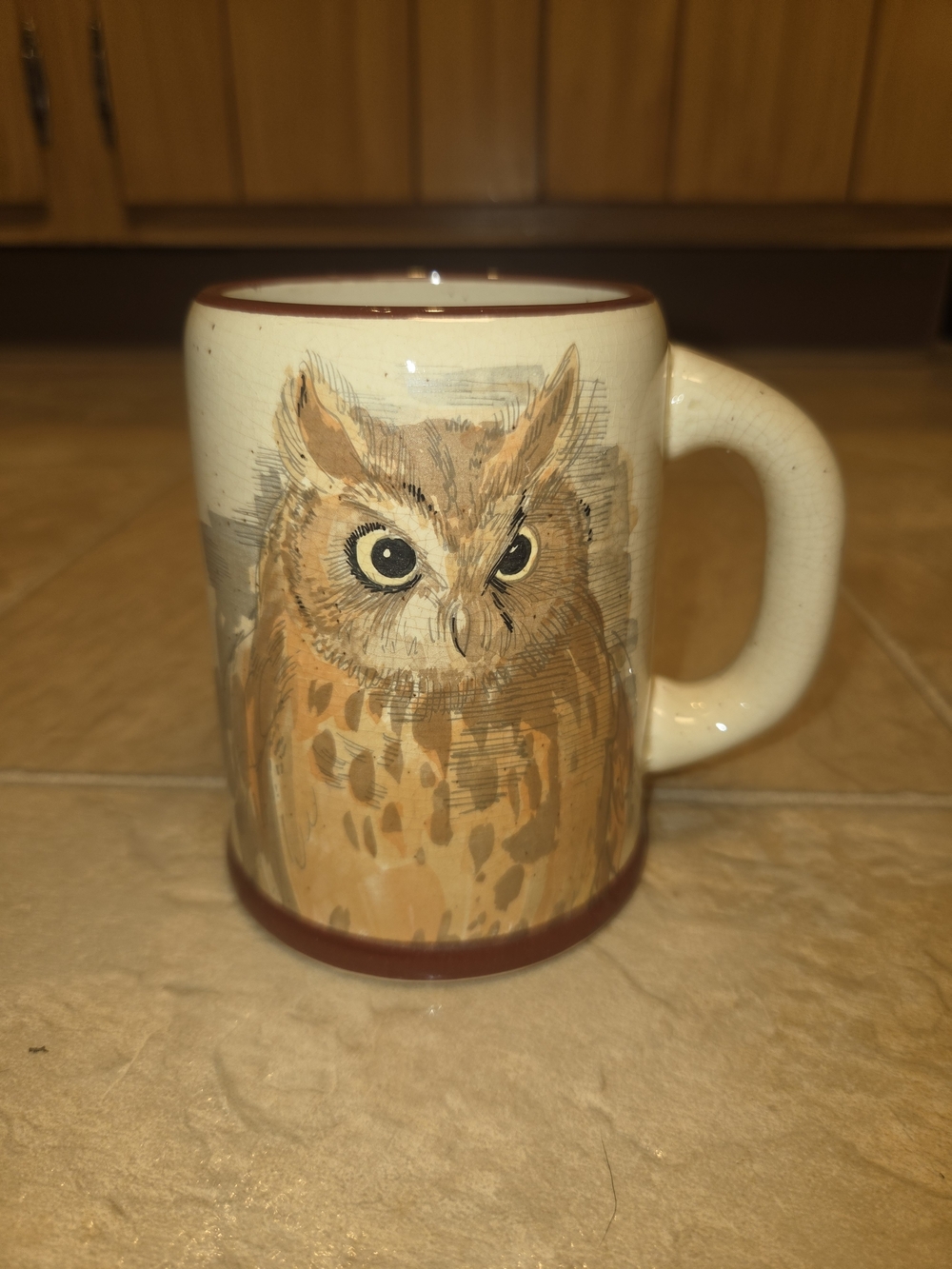 Ceramic Owl Accent Mug